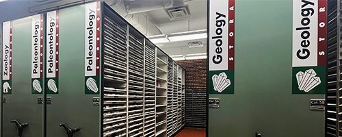 Children's science center collections storage with geology, paleontology, and zoology cabinets and specimen drawers.