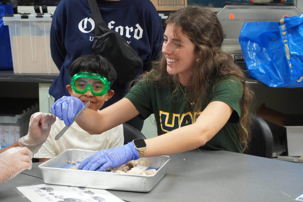 A smiling educator helps a young child wearing safety goggles examine a brain specimen during a science lab activity.