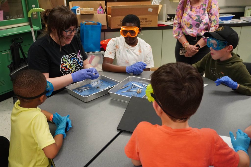 A small group of children wearing safety goggles and gloves gather around trays during a brain dissection lab.